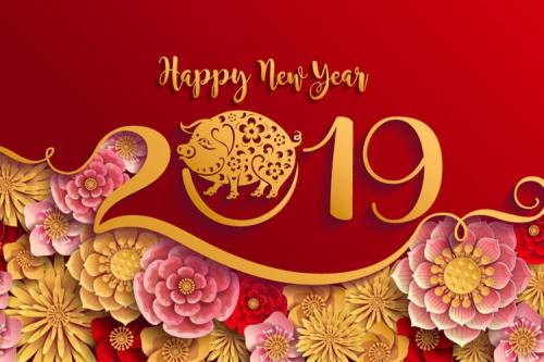 Dự báo phong thủy: Năm Kỷ Hợi 2019