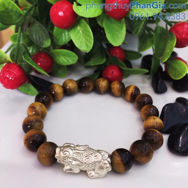 Mệnh Lộ Bàng Thổ - Những Điều Không Phải Ai Cũng Biết