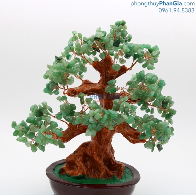 Cây tài lộc xanh