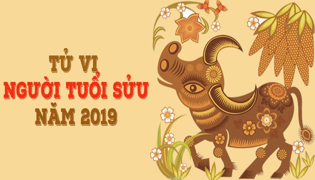 Tử vi tuổi Sửu năm Kỷ Hợi 2019: Vận khí hanh thông nhưng chưa thực sự ổn định