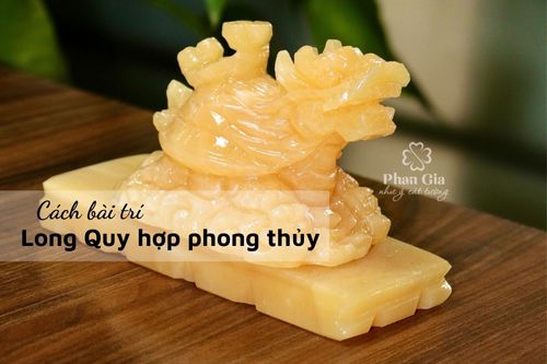 Cách bài trí Long Quy hợp phong thủy