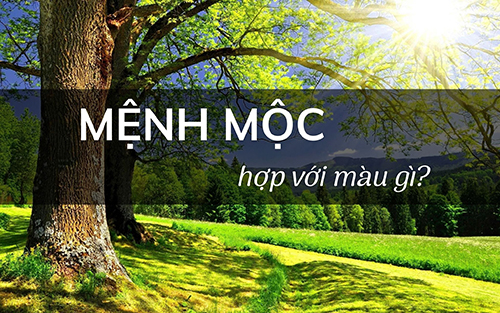Mệnh mộc nên đeo trang sức như thế nào?