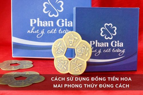 Cách đặt đồng tiền hoa mai phong thủy đúng cách