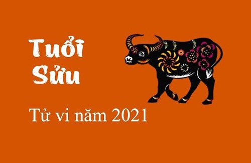 TỬ VI TUỔI SỬU NĂM 2021