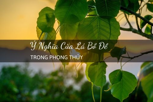 Ý nghĩa của lá bồ đề trong phong thủy