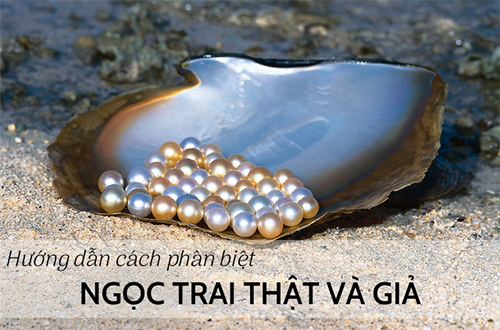 Hướng dẫn cách phân biệt ngọc trai thật giả