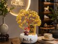  Cây tài lộc thạch anh vàng tại Nghệ An