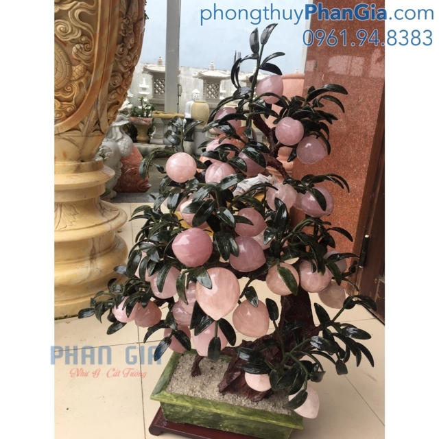  Cây Đào Thạch Anh Hồng - Cao 1m