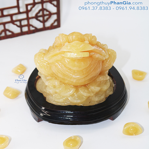  Thiềm Thừ Ngọc Hoàng Long Tại Nghệ An