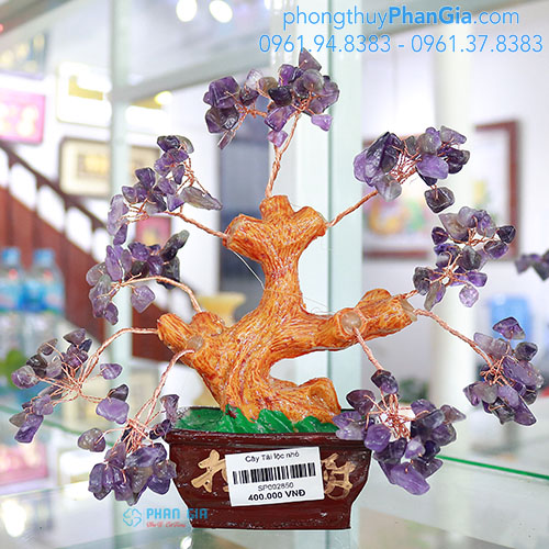  Cây Tài Lộc Thạch Anh Tím size nhỏ