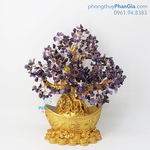  Cây tài Lộc Thạch Anh Tím Tại Nghệ An