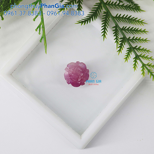  Mặt Hoa Mẫu Đơn Ruby Tại Nghệ An
