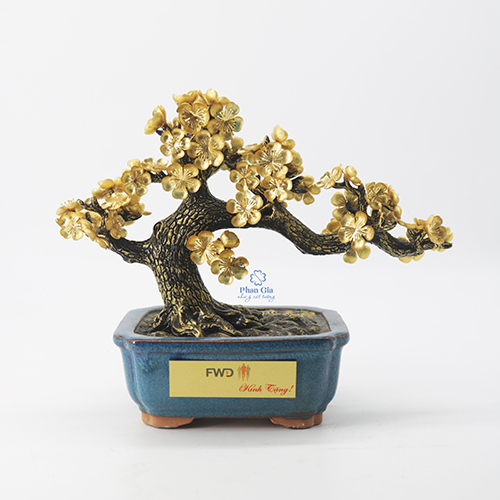 Cây Mai Mạ Vàng 24K Tại Nghệ An