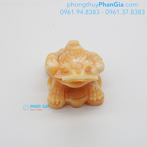  Thiềm Thừ Ngọc Hoàng Long Tại Nghệ An