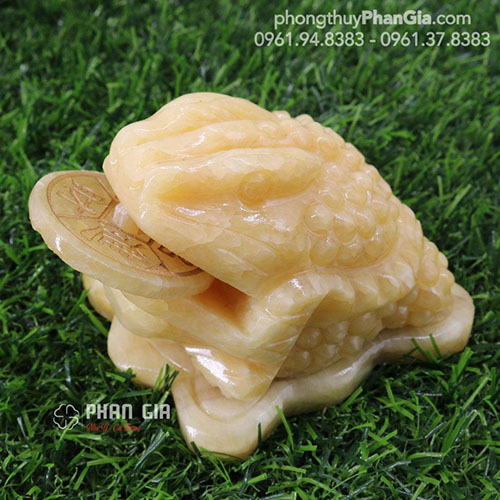  Thiềm Thừ Ngọc Hoàng Long Tại Nghệ An