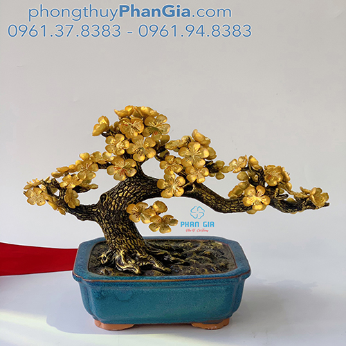  Cây Hoa Mai Mạ Vàng 24k