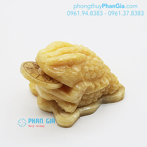  THIỀM THỪ NGỌC HOÀNG LONG