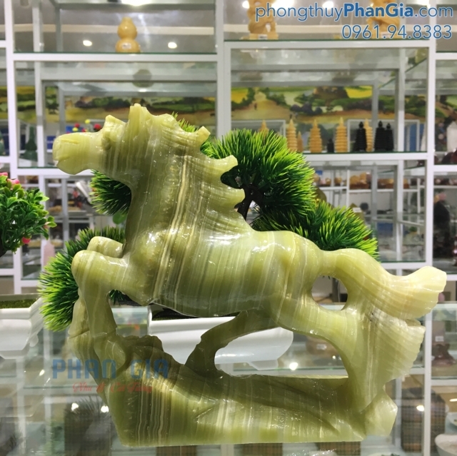  Ngựa Phi Nước Đại Ngọc Pakistan