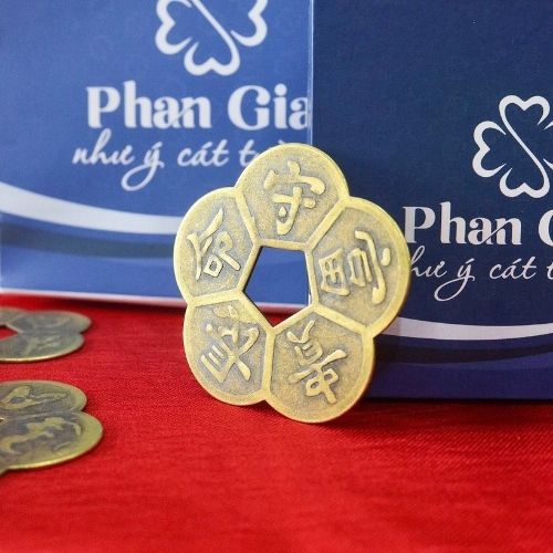  Hoa Mai Kim Tiền Tại Nghệ An